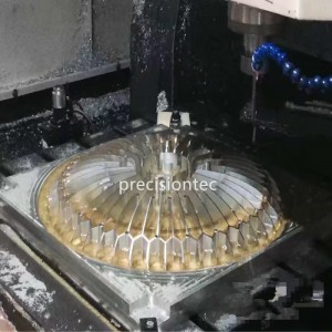 China Precision Processing Solutions Co.